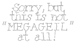 THE FEMINIST WELDING CLUB